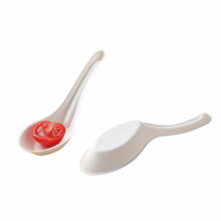 Sugarcane Bagasse Cutlery Paper Spoon